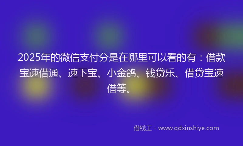2025年的微信支付分是在哪里可以看的有：借款宝速借通、速下宝、小金鸽、钱贷乐、借贷宝速借等。