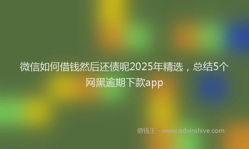 微信如何借钱然后还债呢2025年精选，总结5个网黑逾期下款app