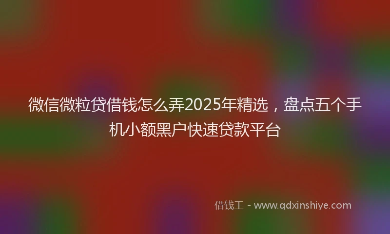 微信微粒贷借钱怎么弄2025年精选，盘点五个手机小额黑户快速贷款平台