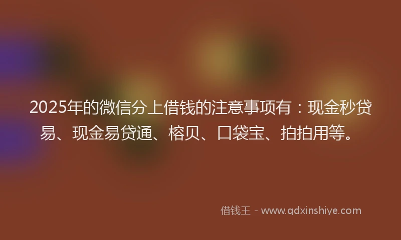2025年的微信分上借钱的注意事项有：现金秒贷易、现金易贷通、榕贝、口袋宝、拍拍用等。