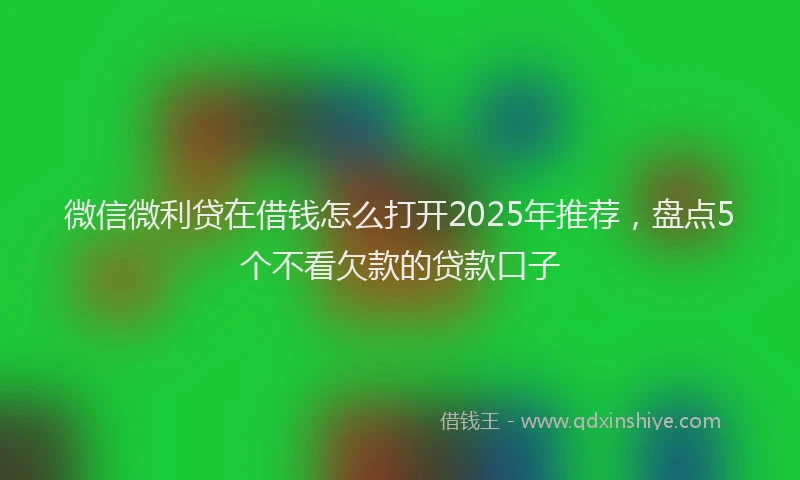 微信微利贷在借钱怎么打开2025年推荐，盘点5个不看欠款的贷款口子