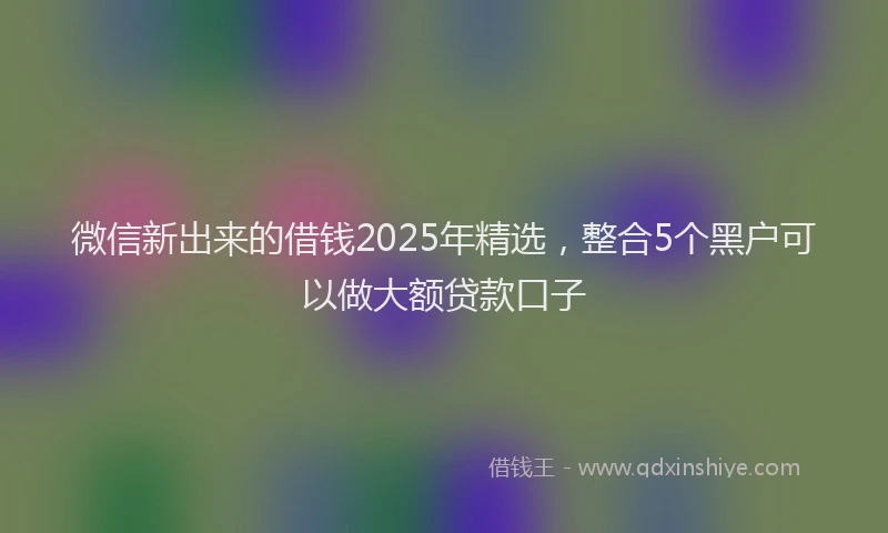 微信新出来的借钱2025年精选，整合5个黑户可以做大额贷款口子