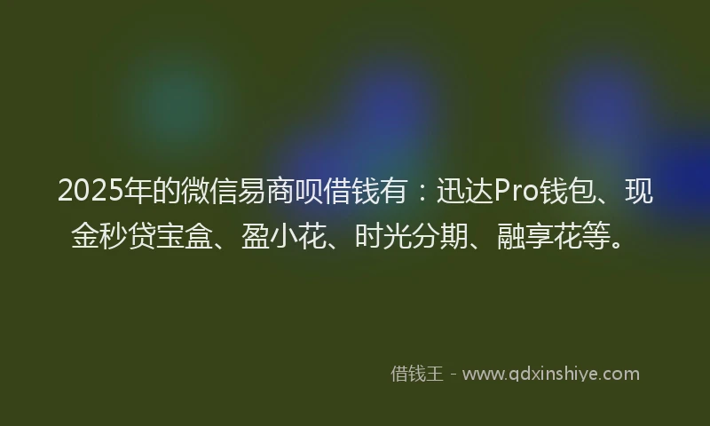 2025年的微信易商呗借钱有：迅达Pro钱包、现金秒贷宝盒、盈小花、时光分期、融享花等。