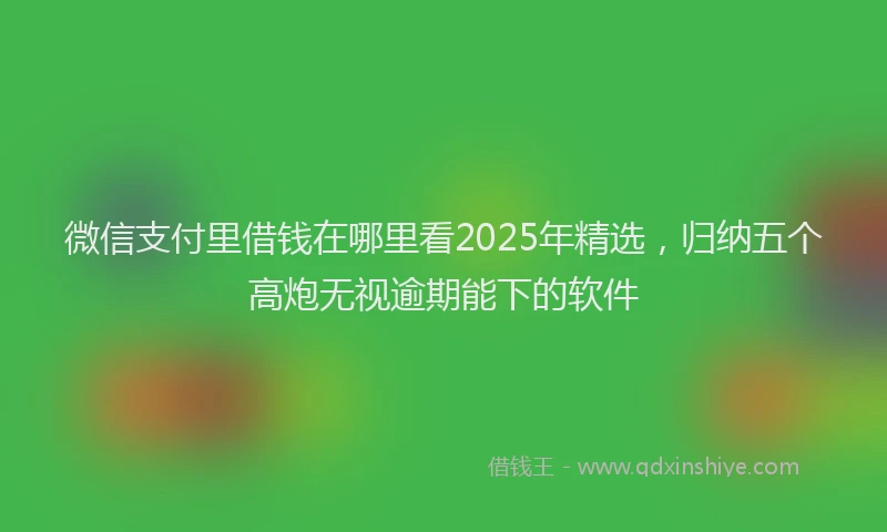 微信支付里借钱在哪里看2025年精选，归纳五个高炮无视逾期能下的软件
