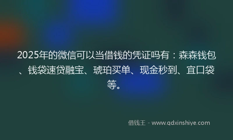 2025年的微信可以当借钱的凭证吗有：森森钱包、钱袋速贷融宝、琥珀买单、现金秒到、宜口袋等。