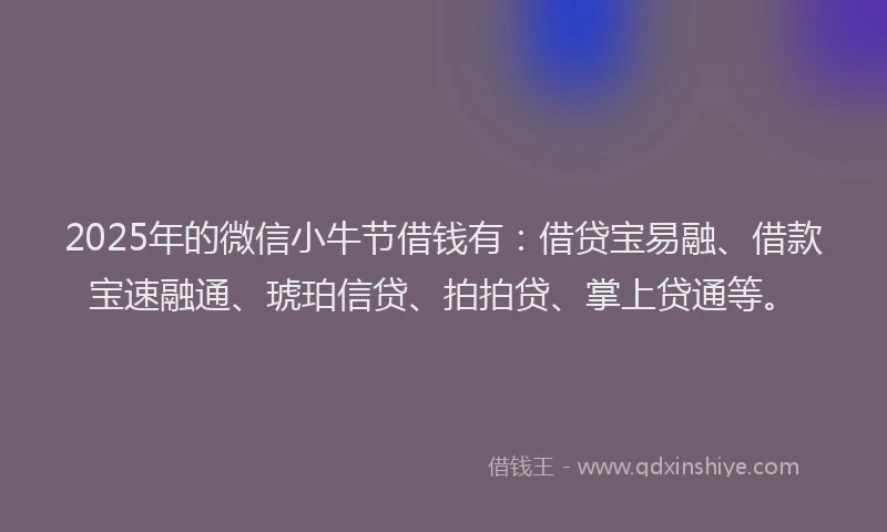 2025年的微信小牛节借钱有：借贷宝易融、借款宝速融通、琥珀信贷、拍拍贷、掌上贷通等。