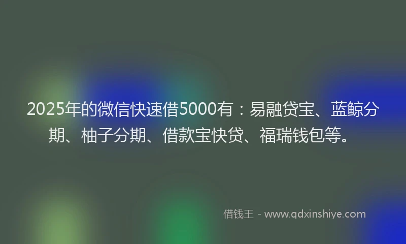 2025年的微信快速借5000有：易融贷宝、蓝鲸分期、柚子分期、借款宝快贷、福瑞钱包等。