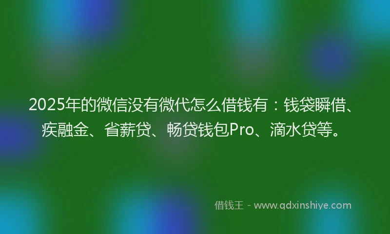 2025年的微信没有微代怎么借钱有：钱袋瞬借、疾融金、省薪贷、畅贷钱包Pro、滴水贷等。