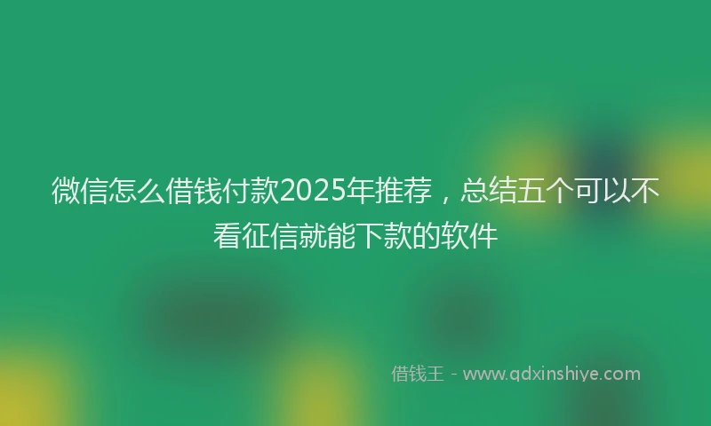 微信怎么借钱付款2025年推荐，总结五个可以不看征信就能下款的软件