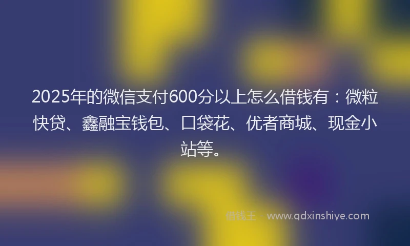 2025年的微信支付600分以上怎么借钱有：微粒快贷、鑫融宝钱包、口袋花、优者商城、现金小站等。