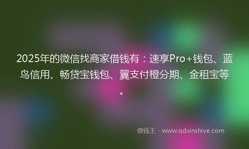 2025年的微信找商家借钱有：速享Pro+钱包、蓝鸟信用、畅贷宝钱包、翼支付橙分期、金租宝等。