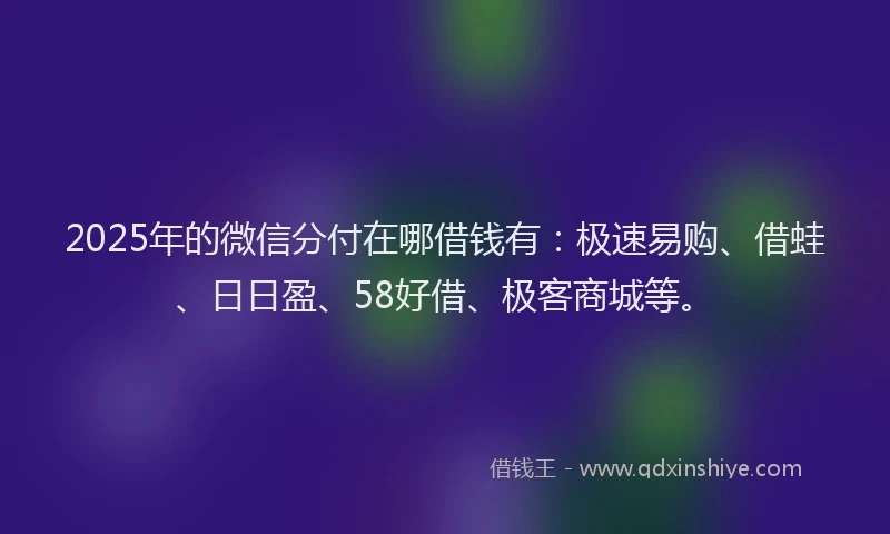 2025年的微信分付在哪借钱有：极速易购、借蛙、日日盈、58好借、极客商城等。