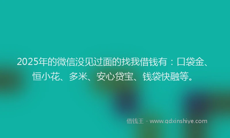 2025年的微信没见过面的找我借钱有：口袋金、恒小花、多米、安心贷宝、钱袋快融等。