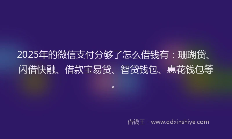 2025年的微信支付分够了怎么借钱有：珊瑚贷、闪借快融、借款宝易贷、智贷钱包、惠花钱包等。