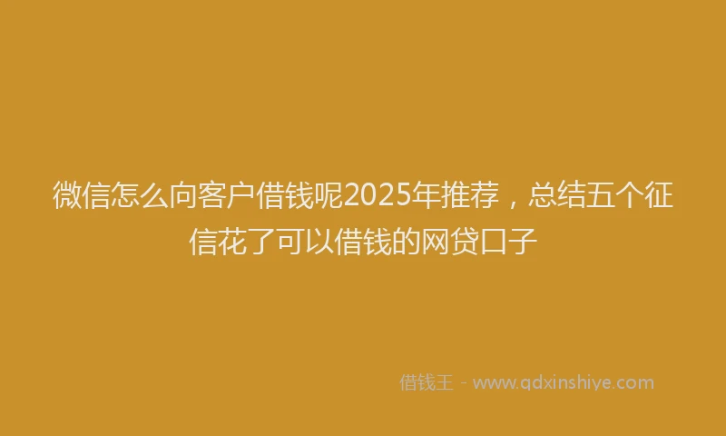 微信怎么向客户借钱呢2025年推荐，总结五个征信花了可以借钱的网贷口子