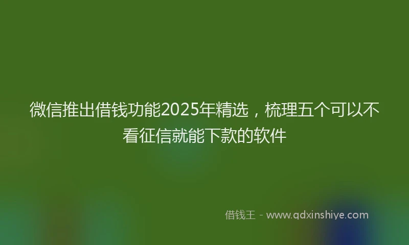 微信推出借钱功能2025年精选，梳理五个可以不看征信就能下款的软件
