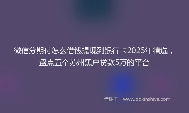 微信分期付怎么借钱提现到银行卡2025年精选，盘点五个苏州黑户贷款5万的平台