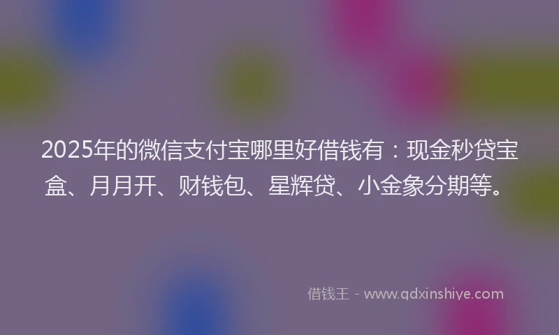 2025年的微信支付宝哪里好借钱有：现金秒贷宝盒、月月开、财钱包、星辉贷、小金象分期等。