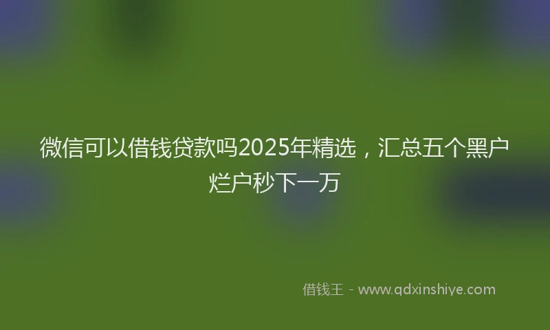 微信可以借钱贷款吗2025年精选，汇总五个黑户烂户秒下一万