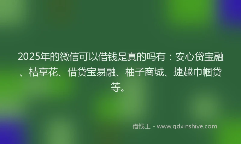 2025年的微信可以借钱是真的吗有：安心贷宝融、桔享花、借贷宝易融、柚子商城、捷越巾帼贷等。