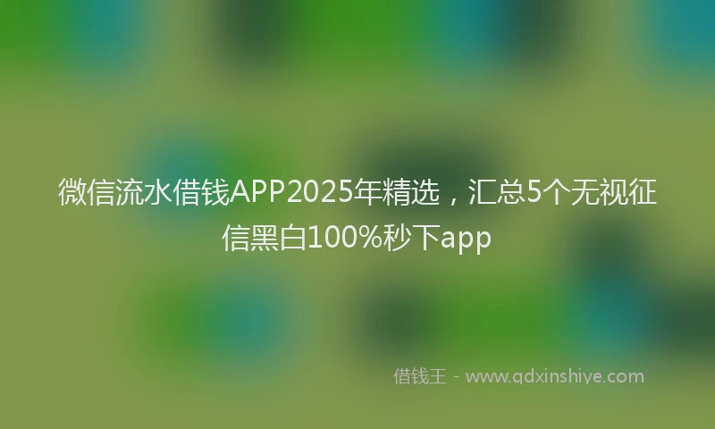 微信流水借钱APP2025年精选，汇总5个无视征信黑白100%秒下app
