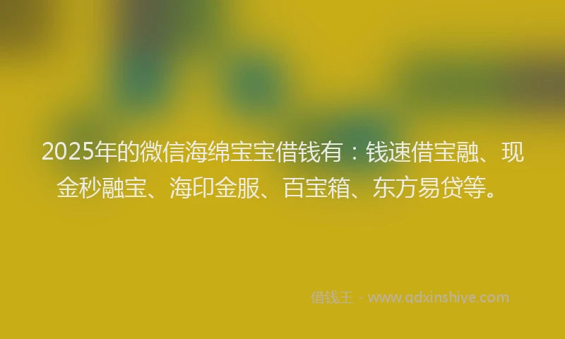 2025年的微信海绵宝宝借钱有：钱速借宝融、现金秒融宝、海印金服、百宝箱、东方易贷等。