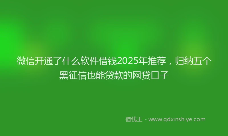 微信开通了什么软件借钱2025年推荐，归纳五个黑征信也能贷款的网贷口子