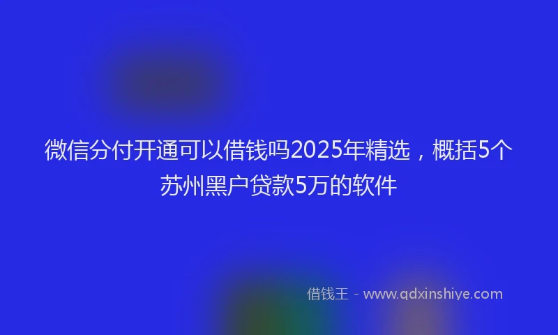 微信分付开通可以借钱吗2025年精选，概括5个苏州黑户贷款5万的软件