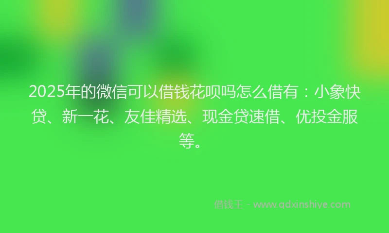 2025年的微信可以借钱花呗吗怎么借有：小象快贷、新一花、友佳精选、现金贷速借、优投金服等。