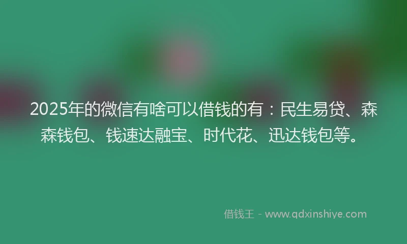 2025年的微信有啥可以借钱的有：民生易贷、森森钱包、钱速达融宝、时代花、迅达钱包等。