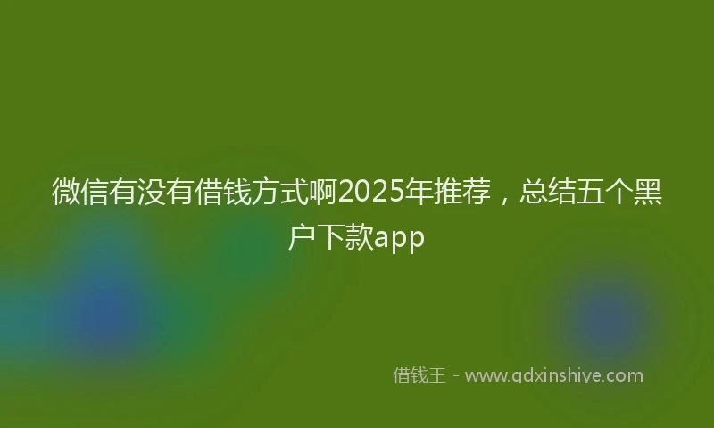 微信有没有借钱方式啊2025年推荐，总结五个黑户下款app