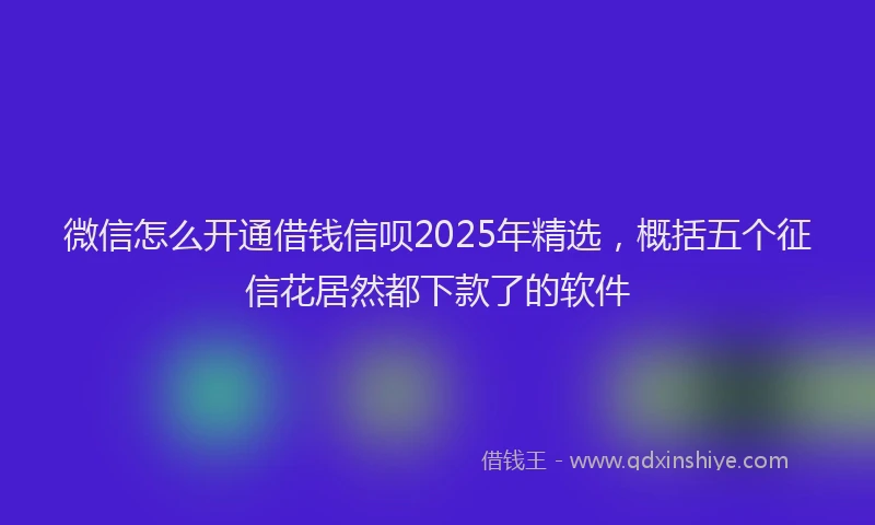 微信怎么开通借钱信呗2025年精选，概括五个征信花居然都下款了的软件