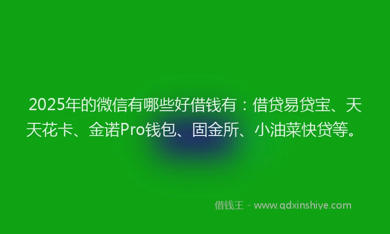 2025年的微信有哪些好借钱有：借贷易贷宝、天天花卡、金诺Pro钱包、固金所、小油菜快贷等。