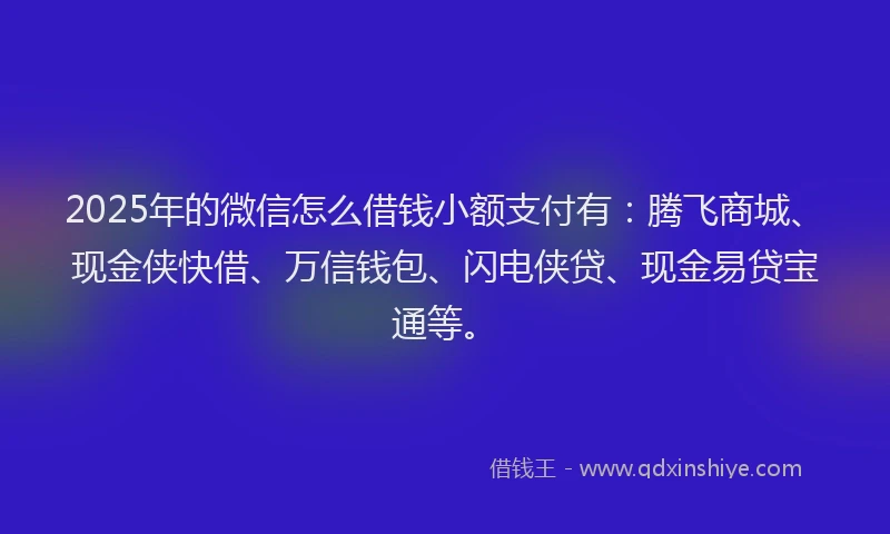 2025年的微信怎么借钱小额支付有：腾飞商城、现金侠快借、万信钱包、闪电侠贷、现金易贷宝通等。