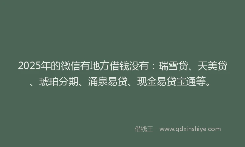 2025年的微信有地方借钱没有：瑞雪贷、天美贷、琥珀分期、涌泉易贷、现金易贷宝通等。