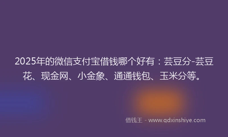 2025年的微信支付宝借钱哪个好有：芸豆分-芸豆花、现金网、小金象、通通钱包、玉米分等。