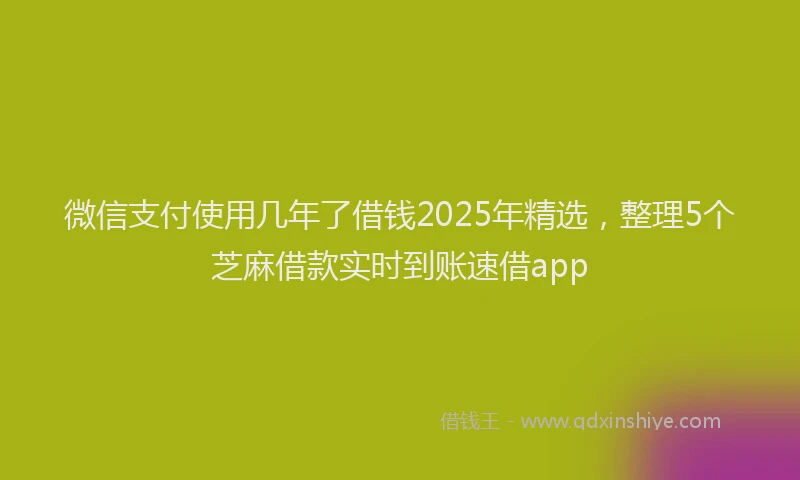 微信支付使用几年了借钱2025年精选，整理5个芝麻借款实时到账速借app