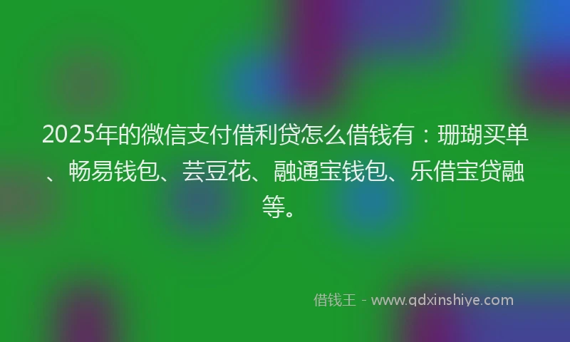 2025年的微信支付借利贷怎么借钱有：珊瑚买单、畅易钱包、芸豆花、融通宝钱包、乐借宝贷融等。