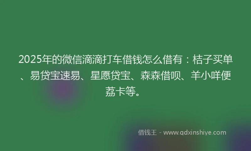 2025年的微信滴滴打车借钱怎么借有：桔子买单、易贷宝速易、星愿贷宝、森森借呗、羊小咩便荔卡等。
