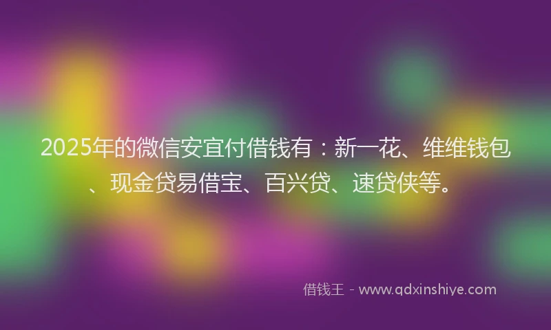 2025年的微信安宜付借钱有：新一花、维维钱包、现金贷易借宝、百兴贷、速贷侠等。
