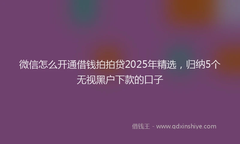 微信怎么开通借钱拍拍贷2025年精选，归纳5个无视黑户下款的口子