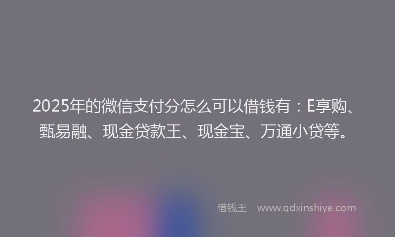 2025年的微信支付分怎么可以借钱有：E享购、甄易融、现金贷款王、现金宝、万通小贷等。