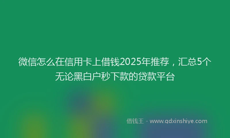 微信怎么在信用卡上借钱2025年推荐，汇总5个无论黑白户秒下款的贷款平台