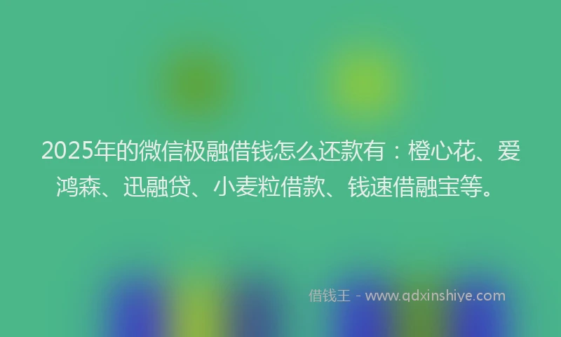 2025年的微信极融借钱怎么还款有：橙心花、爱鸿森、迅融贷、小麦粒借款、钱速借融宝等。