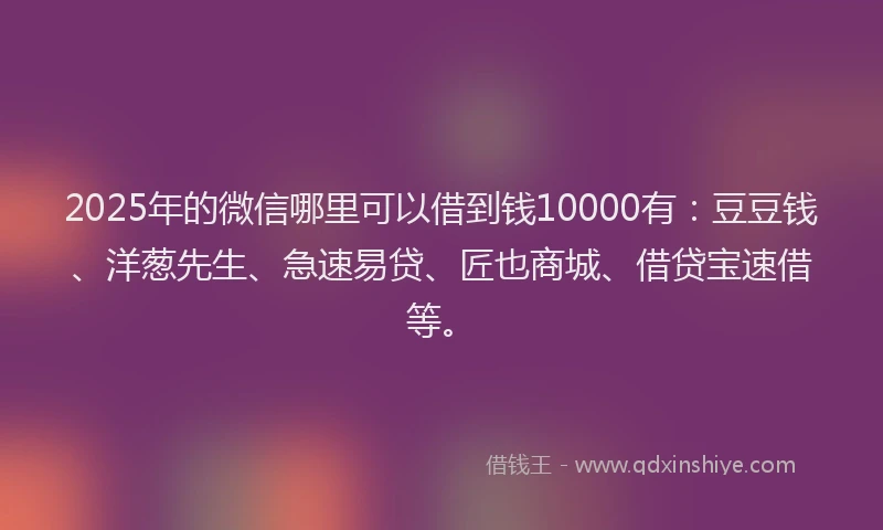 2025年的微信哪里可以借到钱10000有：豆豆钱、洋葱先生、急速易贷、匠也商城、借贷宝速借等。