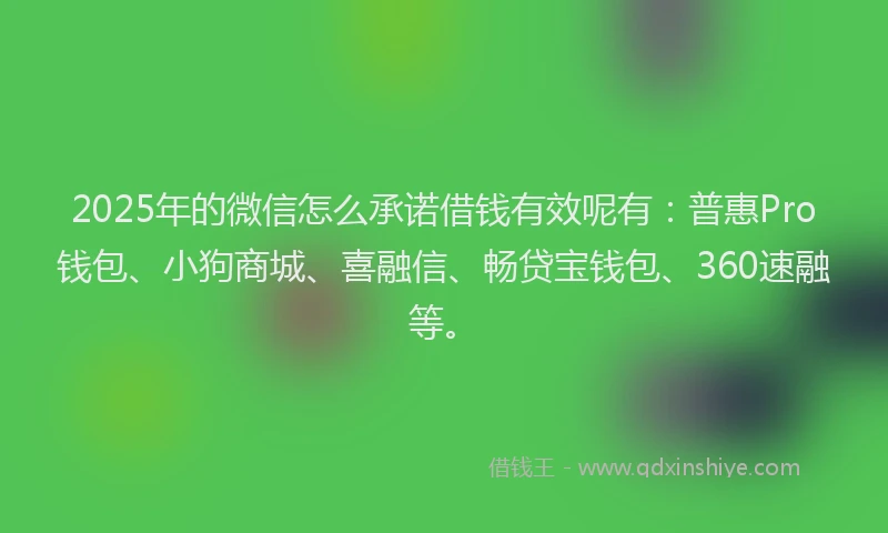 2025年的微信怎么承诺借钱有效呢有：普惠Pro钱包、小狗商城、喜融信、畅贷宝钱包、360速融等。
