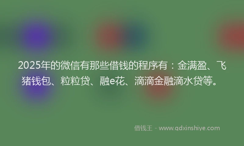 2025年的微信有那些借钱的程序有：金满盈、飞猪钱包、粒粒贷、融e花、滴滴金融滴水贷等。
