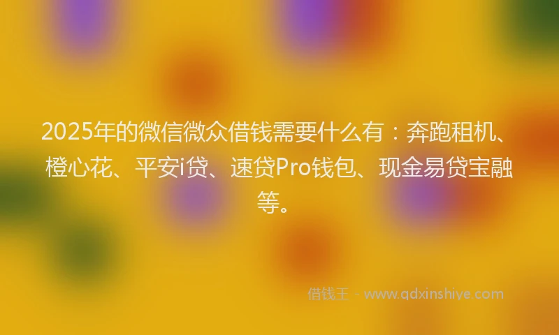 2025年的微信微众借钱需要什么有：奔跑租机、橙心花、平安i贷、速贷Pro钱包、现金易贷宝融等。