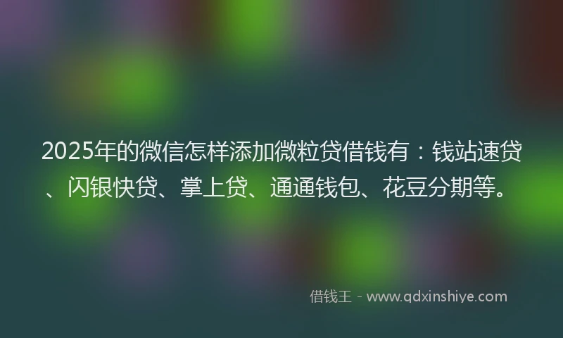 2025年的微信怎样添加微粒贷借钱有：钱站速贷、闪银快贷、掌上贷、通通钱包、花豆分期等。