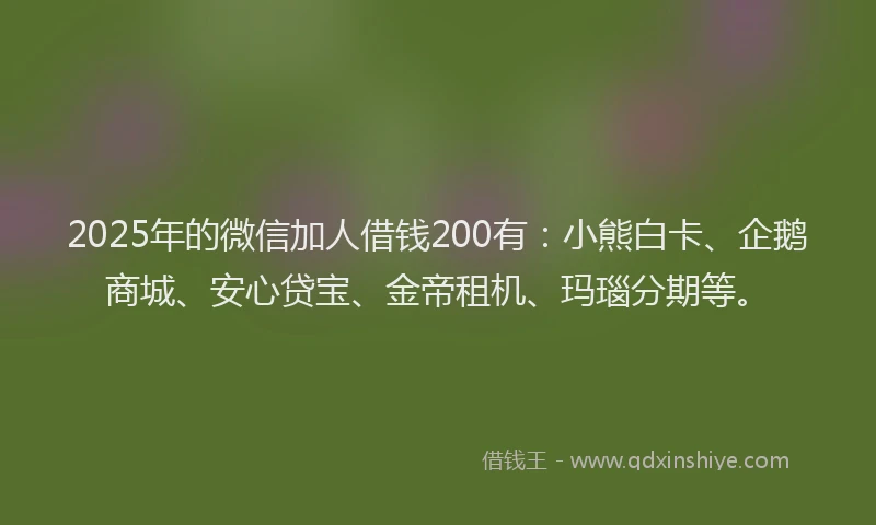 2025年的微信加人借钱200有：小熊白卡、企鹅商城、安心贷宝、金帝租机、玛瑙分期等。